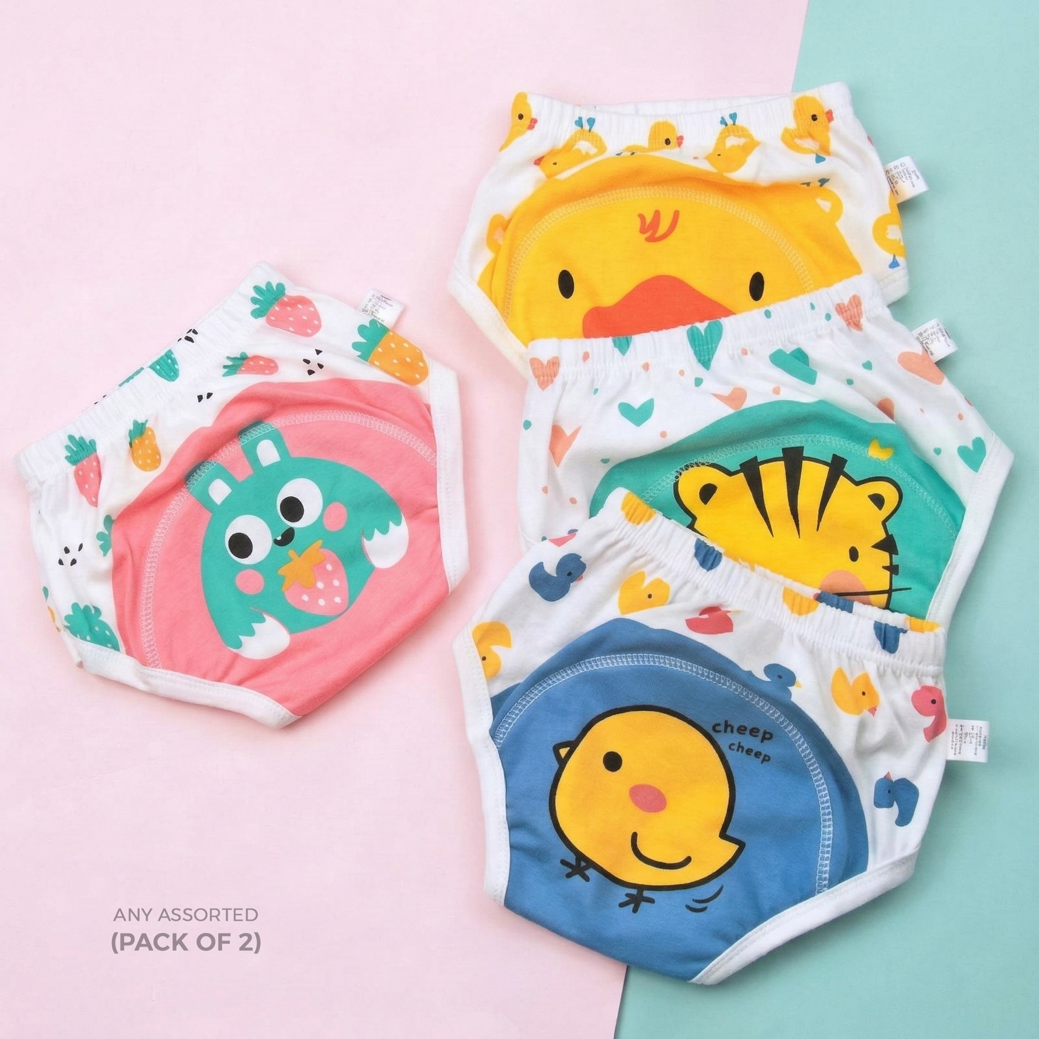 Leakage Proof Reusable Cloth Diaper for Baby (Pack of 2)