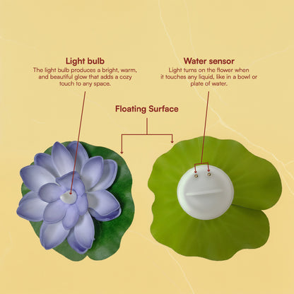 Colourful Lotus Floating LED Lights